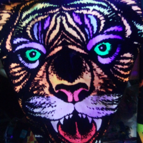 Cool gifts for everyone. Dragon Ball Z shirt ,kormi plush, bass pro hat and more - Picture 5 of 8